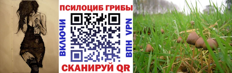 Галлюциногенные грибы Cubensis Железноводск