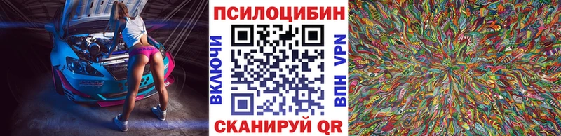 наркота Железноводск Галлюциногенные грибы Psilocybe